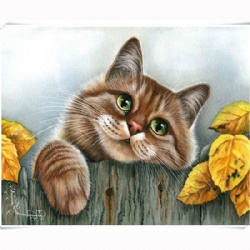 алмазная мозаика на подрамнике 40×50cm GZ778